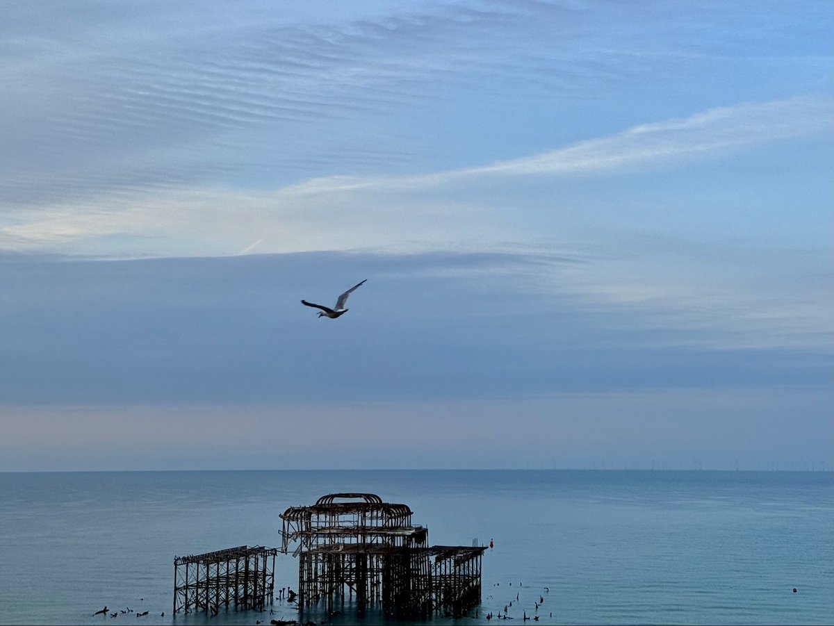 A calm start to the #bankholidayweekend in #Brighton. #UsualSeagull is looking forward to meeting new friends.