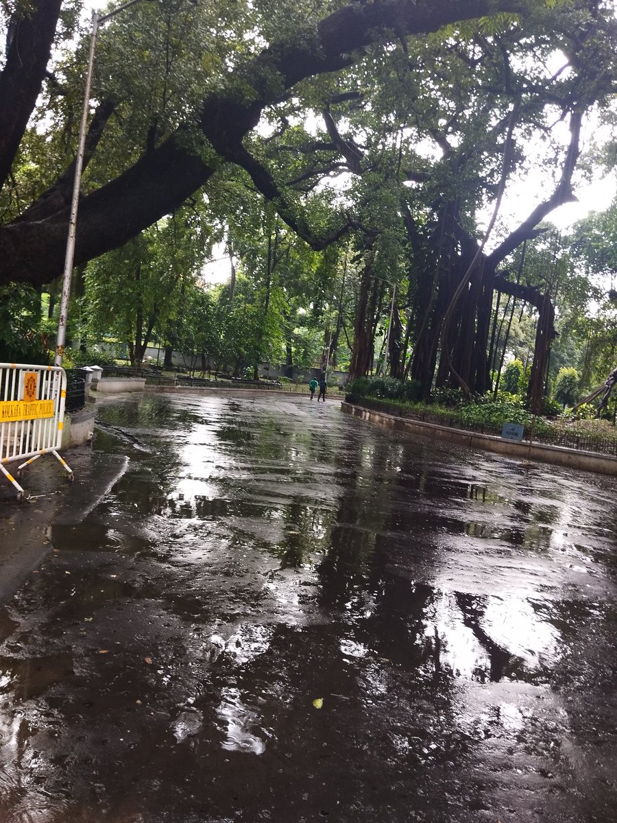 Green Kolkata Diary 🌿💚 
#Kolkata