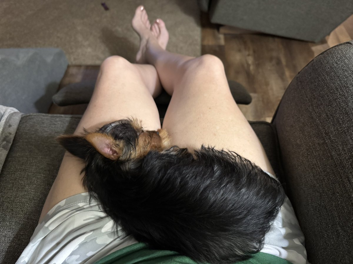 carladean317's tweet photo. She may keep #Pooph in business, but she is adorable when she sleeps! @OfficialOPLive @ReelzChannel #OPLive #OPLiveNation #ineedatan https://t.co/CqIUJvCABe