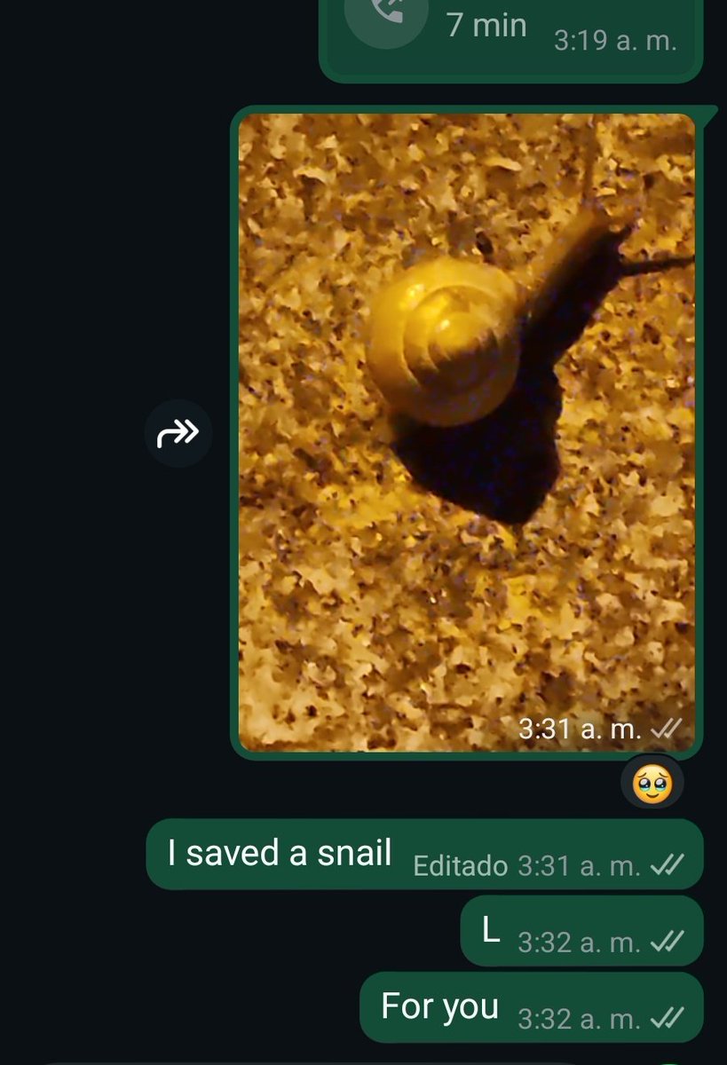 Cosas normales que le dirías a tu novia a las 3:30 am