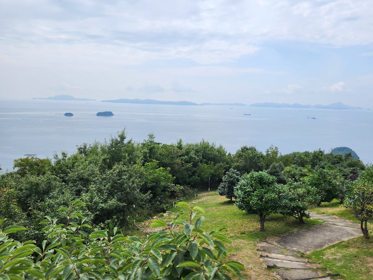 万葉の岬公園 つばき園展望台(兵庫県相生市)
2025/08/23撮影[リアルタイム投稿]
海！