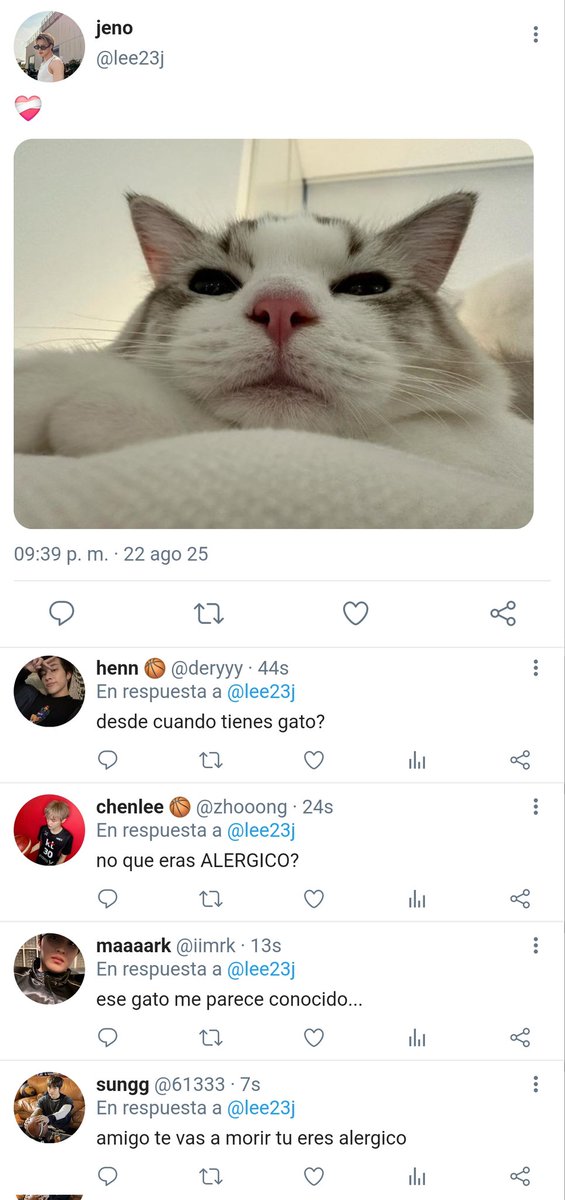 lovessjjeno's tweet photo. 🍸|215 https://t.co/VwLO6FN5L1