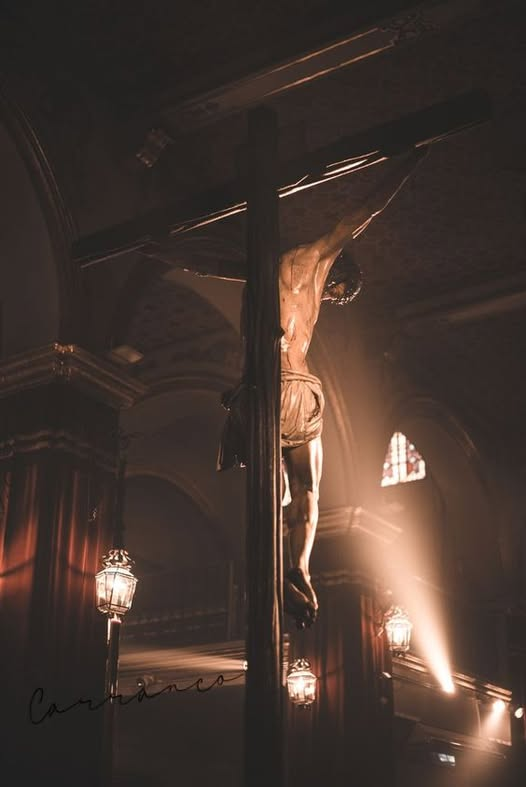 𝖀𝖓 𝕾𝖊𝖌𝖑𝖆𝖗 𝕮𝖆𝖙ó𝖑𝖎𝖈𝖔 tweet media