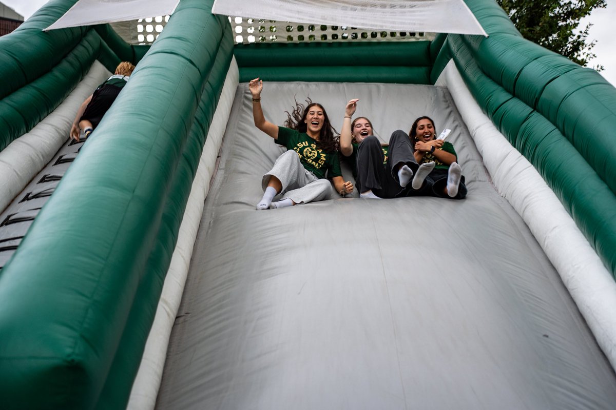 Colorado State Softball tweet media