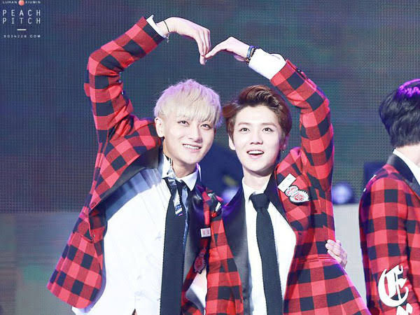 hztttao tweet media