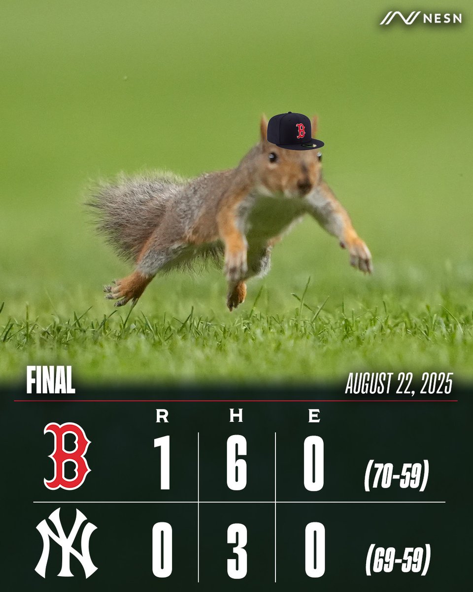 NESN's tweet photo. #RallySquirrel https://t.co/hKH5IppwvL