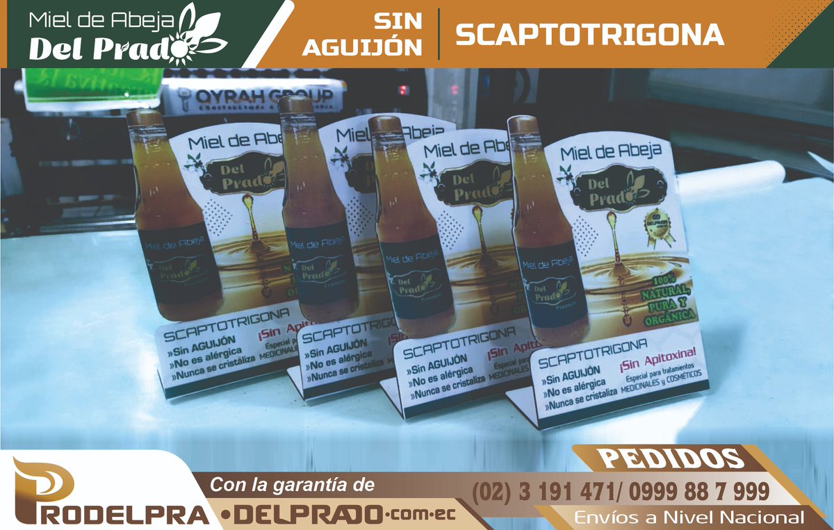 prodelpra's tweet photo. 📂 ÁLBUM > Catálogo > PUBLICIDAD 👍
⛓️‍💥 Abrir Enlace 👇👇
https://t.co/tY4xK90yeX

🌟🌟🌟🌟🌟
@seguidores Filiales 👇 👇

👉  @DELPRADOcomEC  ☑
👇 👇
📈 #DELPRADOcomEC https://t.co/7zxGyK2pGL