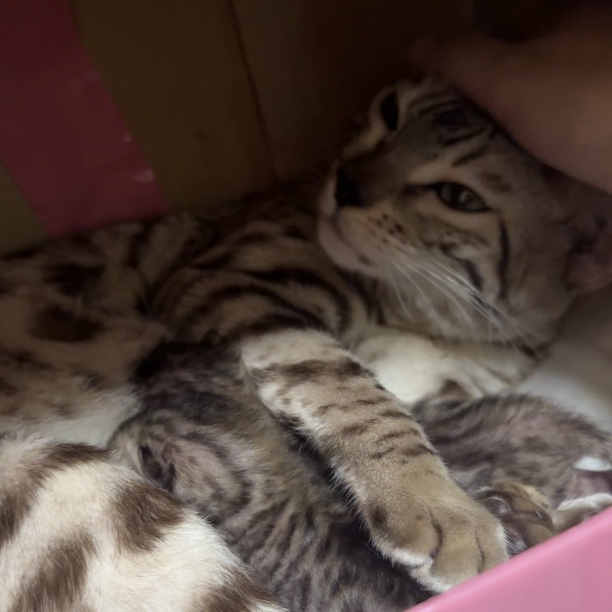 本日は臨時休業です。

ご迷惑おかけしますが、よろしくお願いいたします🙇‍♀️