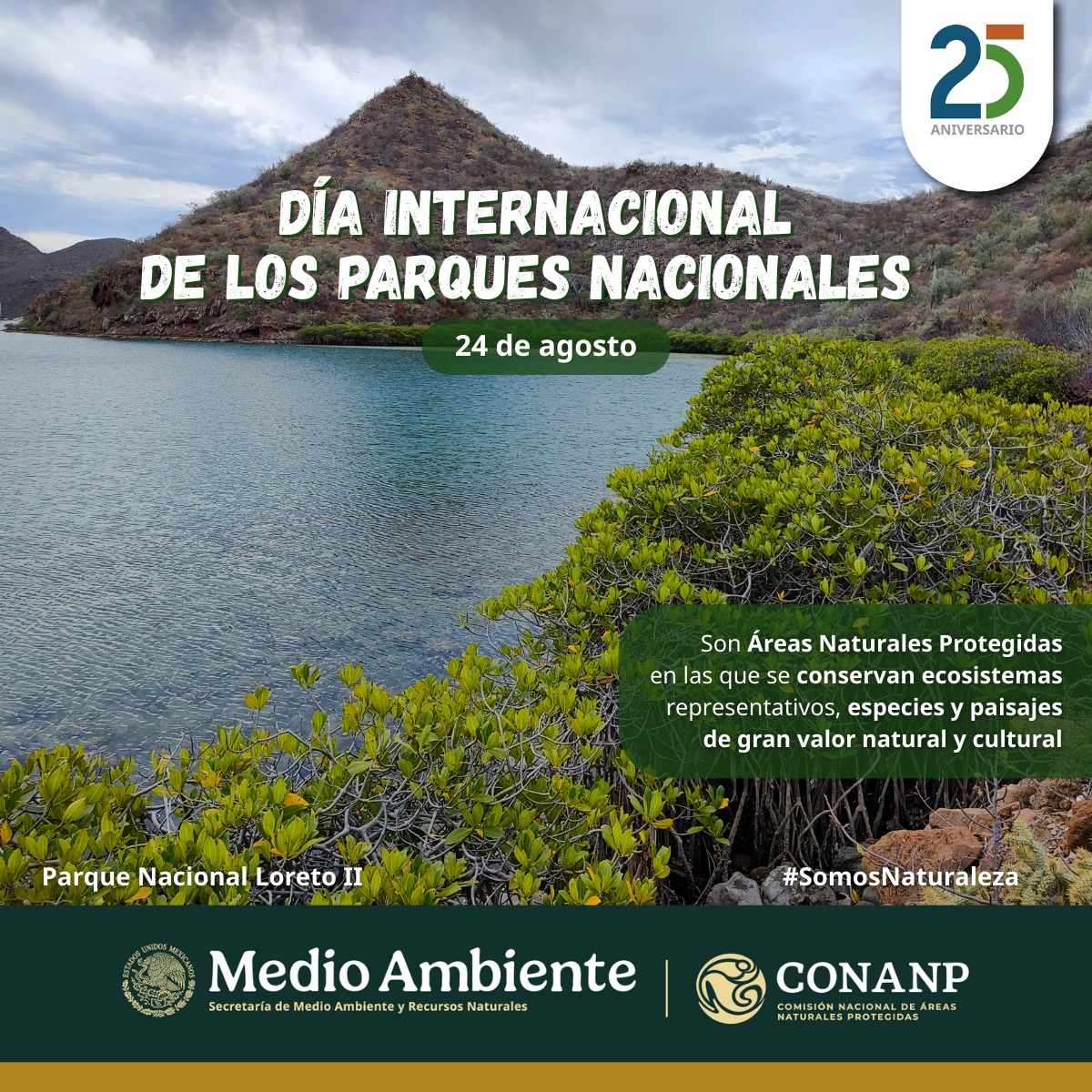 CONANP_mx's tweet photo. #FelizDomingo
Además de su excepcional belleza, los Parques Nacionales tienen valor científico, educativo, recreativo, así como valor histórico, riqueza de biodiversidad y aptitud para el desarrollo del turismo. 🍃✨

#SomosNaturaleza 🌳🌊🌿🏔️🥾🏕️🤿🌺🐻🐸🦋🐠🦀🐙🐬🔍🗒️ https://t.co/QDebCSjycC