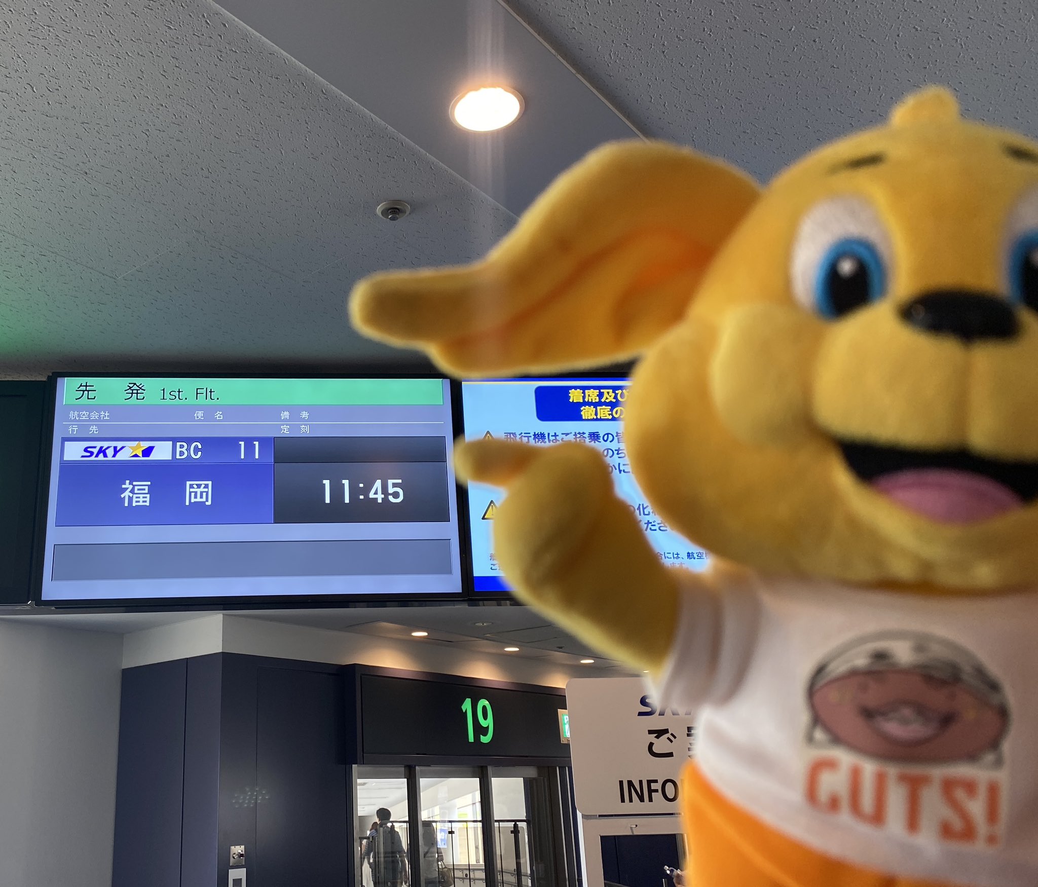 よっしーページ(≧▽≦) YGK YGK・よつあみ XBRAID スーパージグマンX8 300m 0.6,0.8,1