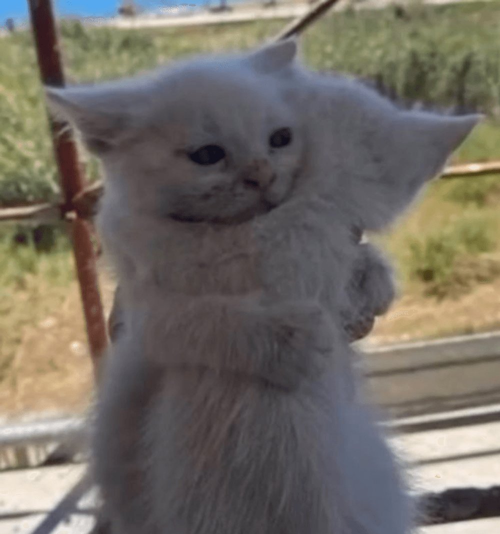 Need hugs