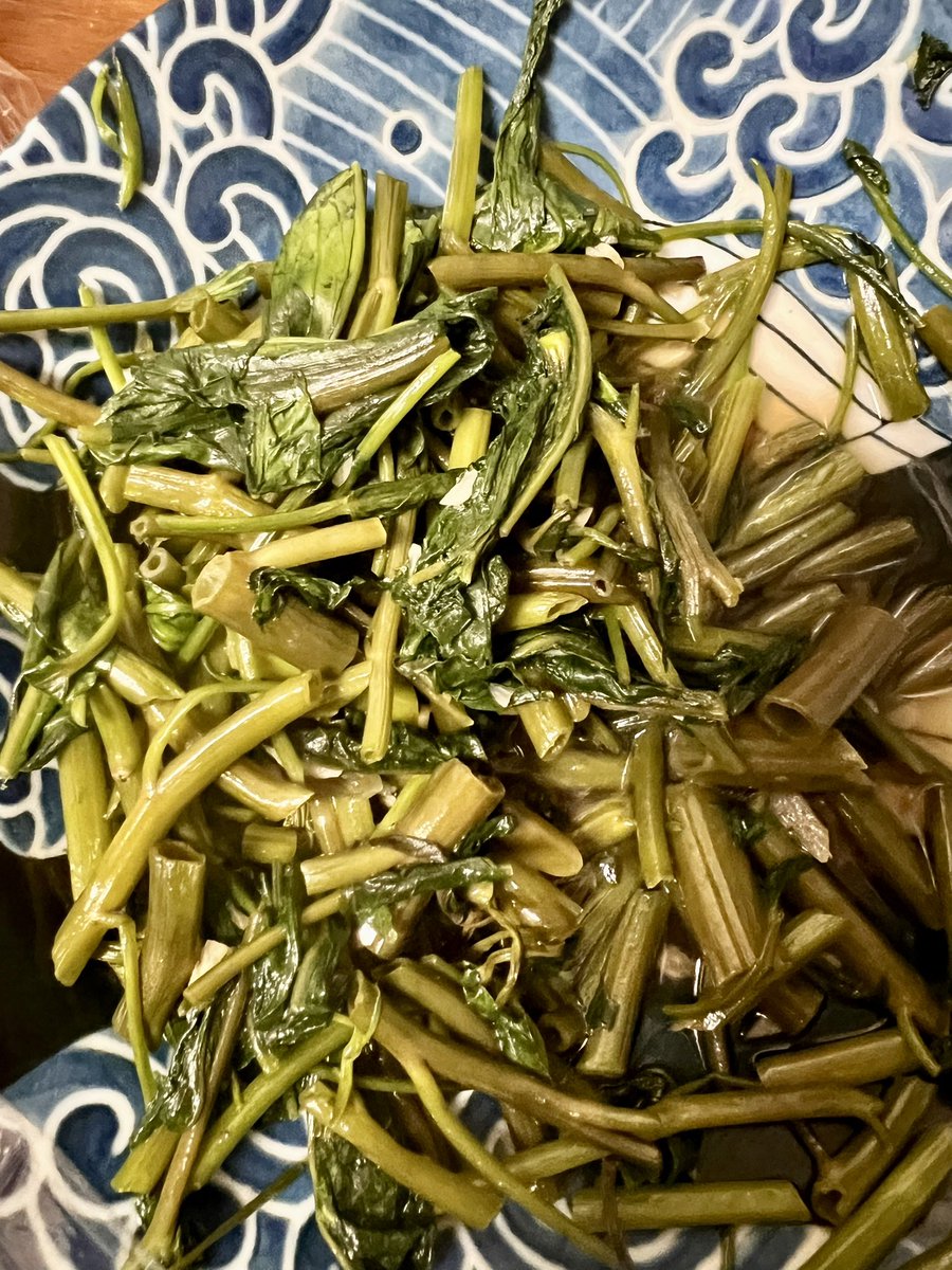 空芯菜6回目の収穫。ナンプラー入れて炒めたらすごいそれっぽい感じになった！