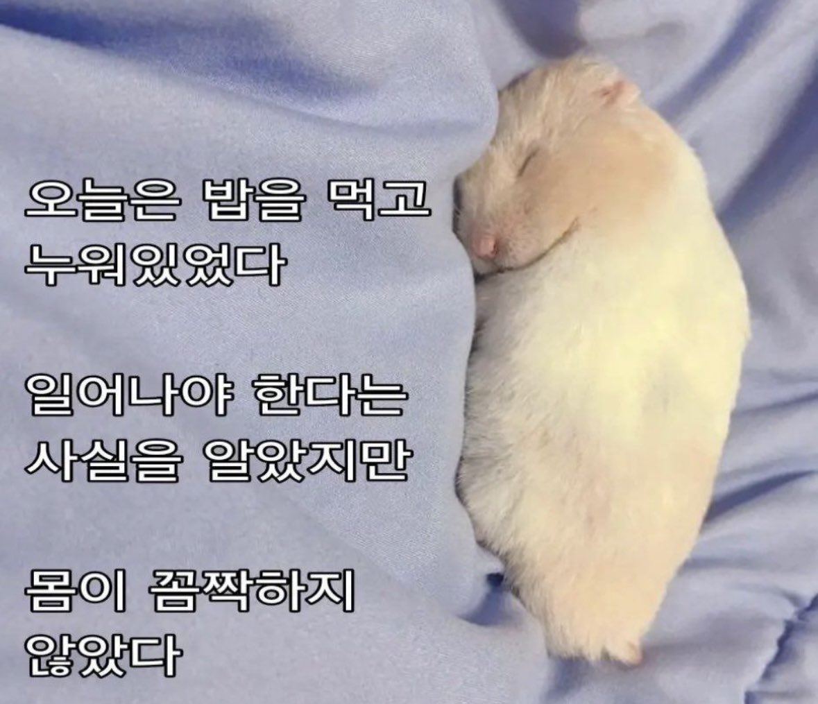 주말 바이브