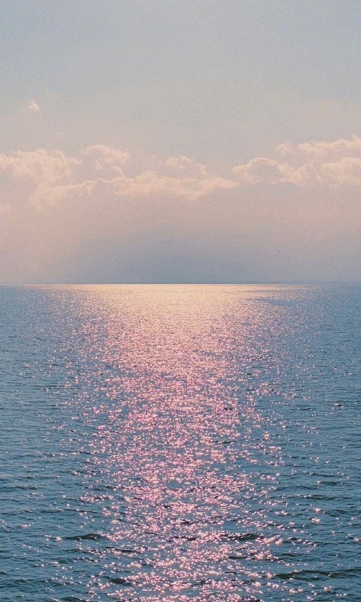 aestheticspost_'s tweet image. 