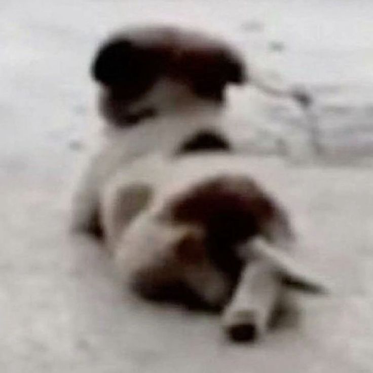 vivendo ou apenas esperando a terceira temporada de agente noturno...?