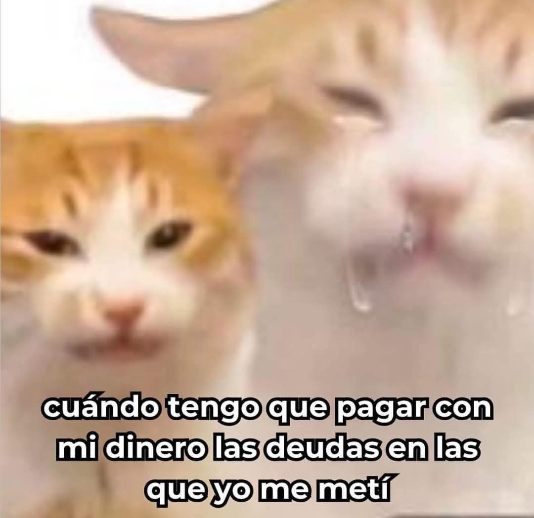 FraseSimple's tweet photo. https://t.co/n0BBlUMdTa