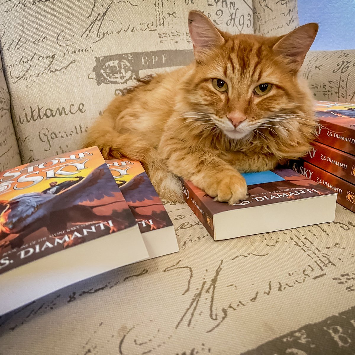 Hi, I’m Zac. I'm 37 and live in Colorado.

I love books, obviously... 📚😅

Nice to meet you. I’m an author and reader. Always happy to make more bookish friends.

Oh, and my cat, Gryffin, likes to help me sign books. 😅