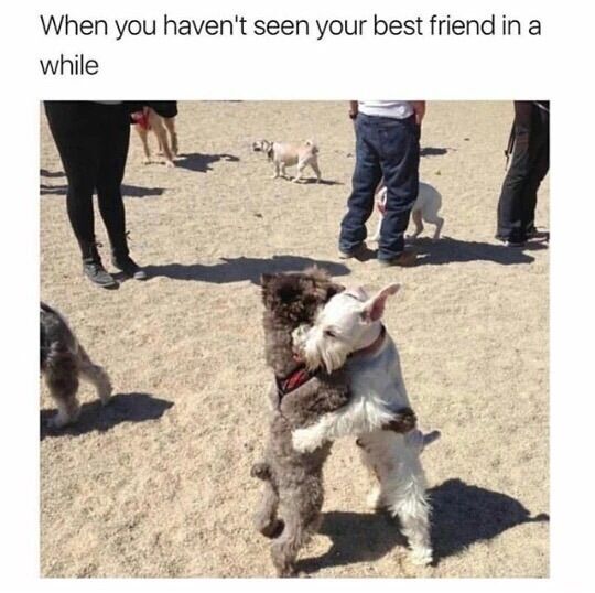 WholesomeMeme's tweet photo. https://t.co/pjIvOjZgKw