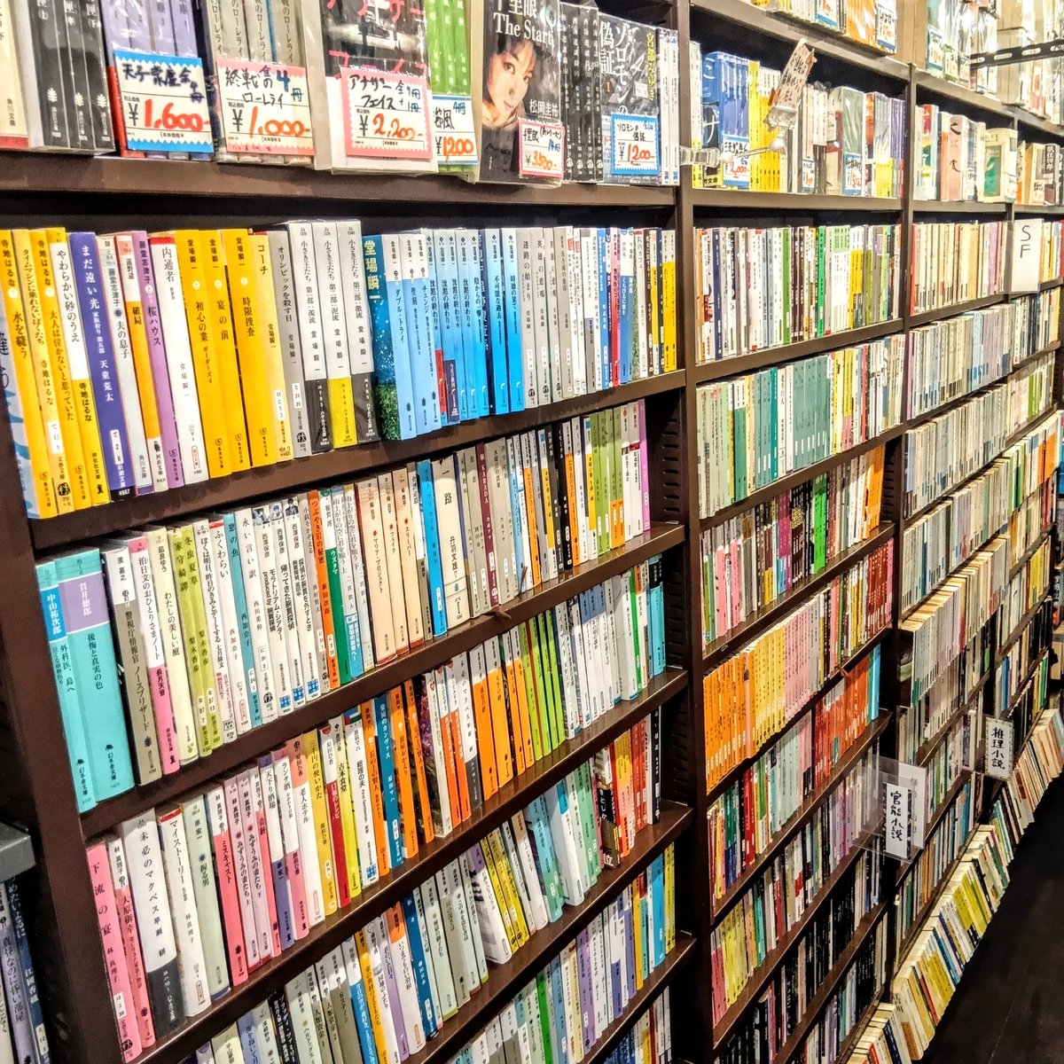 店蔵―句集 （小熊座叢書）（単行本） Amazon.co.jp: 秋隣小曲集: 島田修三歌集 (まひる野叢書 第三七