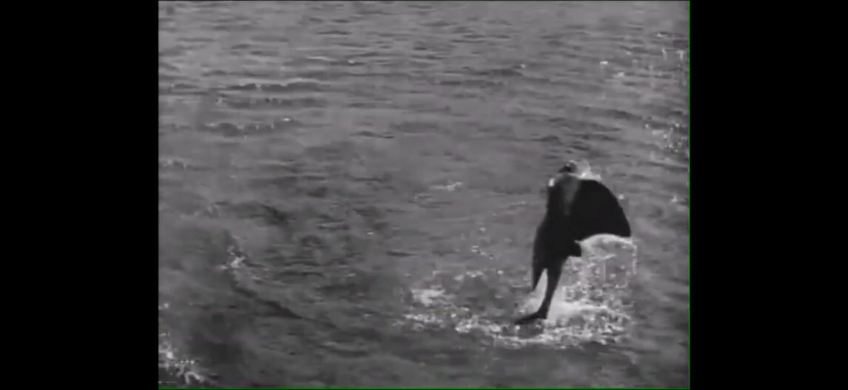 Jim DeSantis tweet media