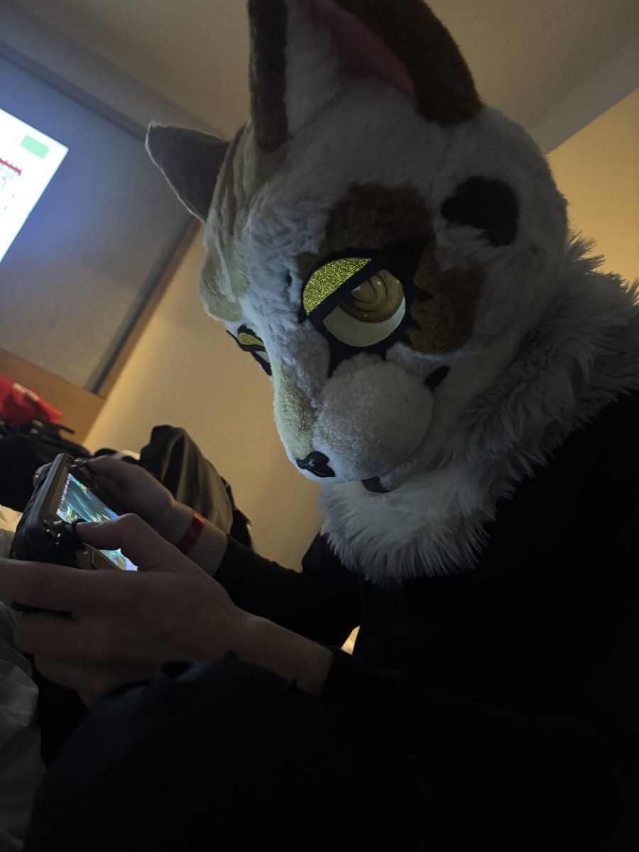 Fursuit Friday at  #furrydelphia