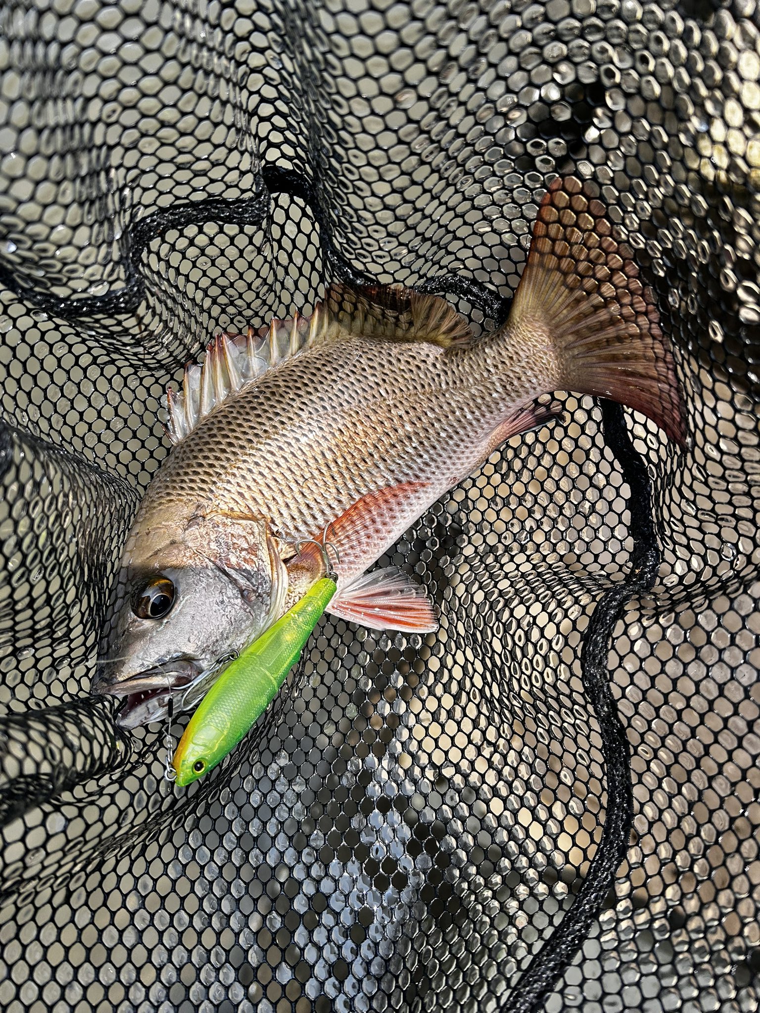 もりぞー様 Posts with replies by もりぞー (@morizo57) / X