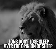 Joe Tynon (@joetynon) on Twitter photo 