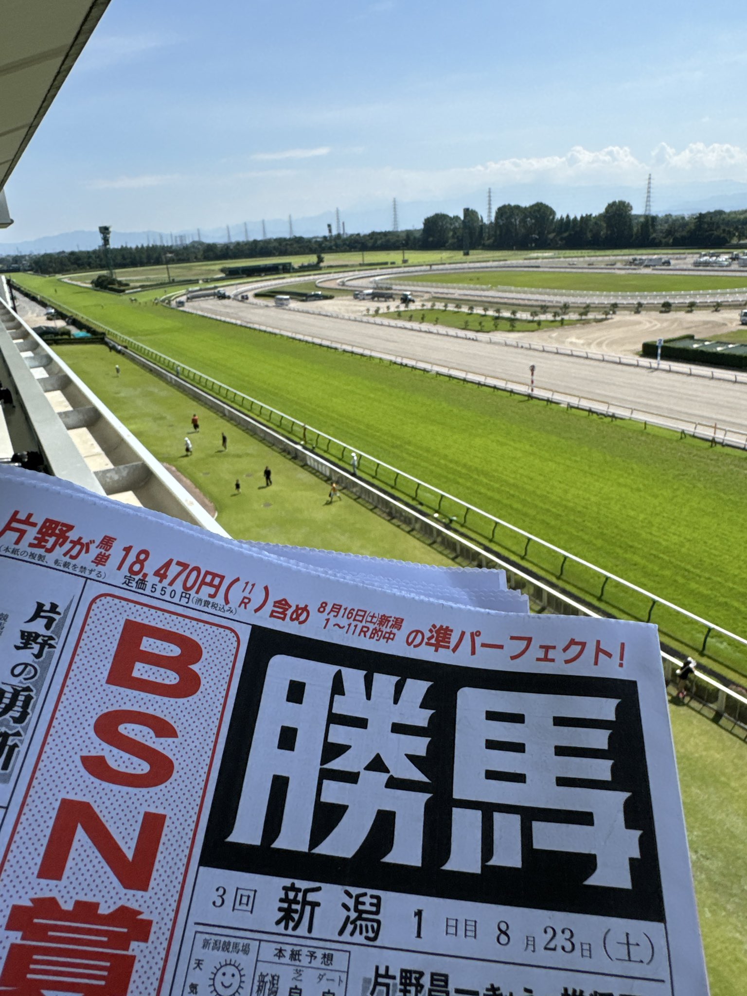 住川陸【競馬専門紙・勝馬】 on X: 