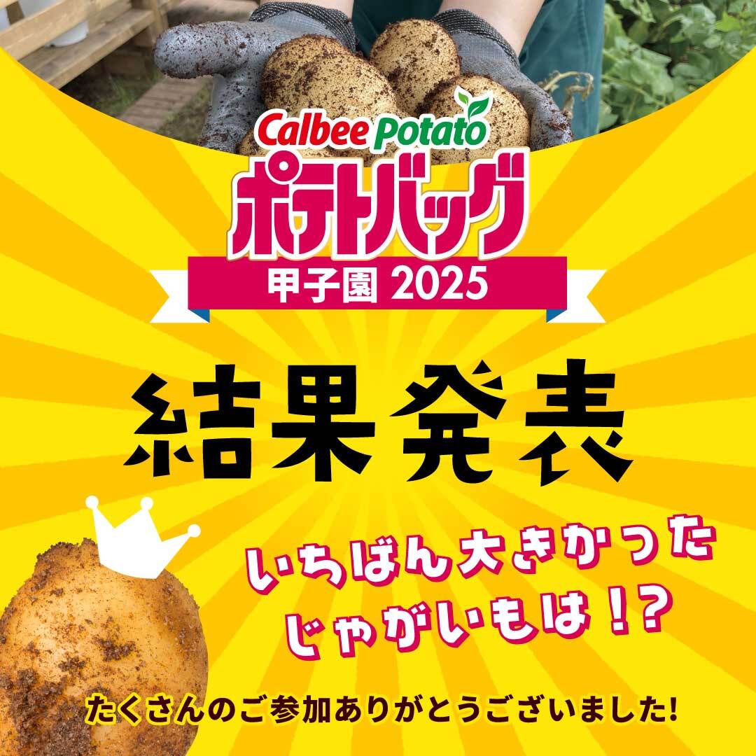 公式】プロトリーフ on X