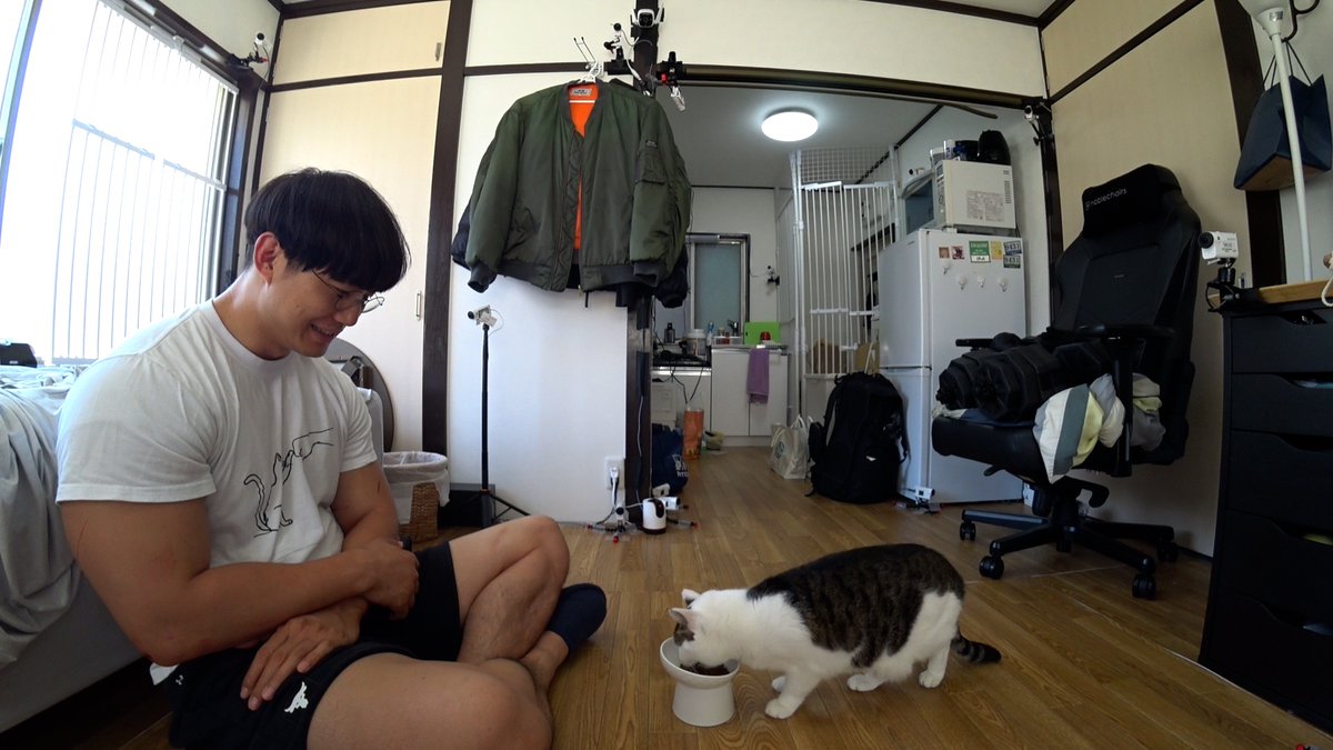 minnano_zoo_ntv's tweet image. 大の猫好き女優 #有村架純 さんが
#かけおち #青木マッチョ と暮らす
保護猫・ムサシの
人なれをお手伝い🐱💗

猫マスター・有村さんの作戦は
ムサシに届くのか！？

#嗚呼みんなの動物園 2️⃣時間SPは
本日よる7時から放送です📡

お楽しみに✨️