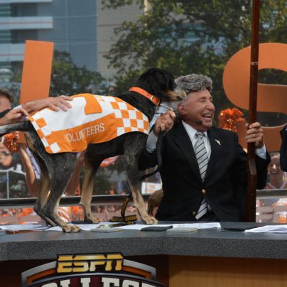 More Important Issues tweet media