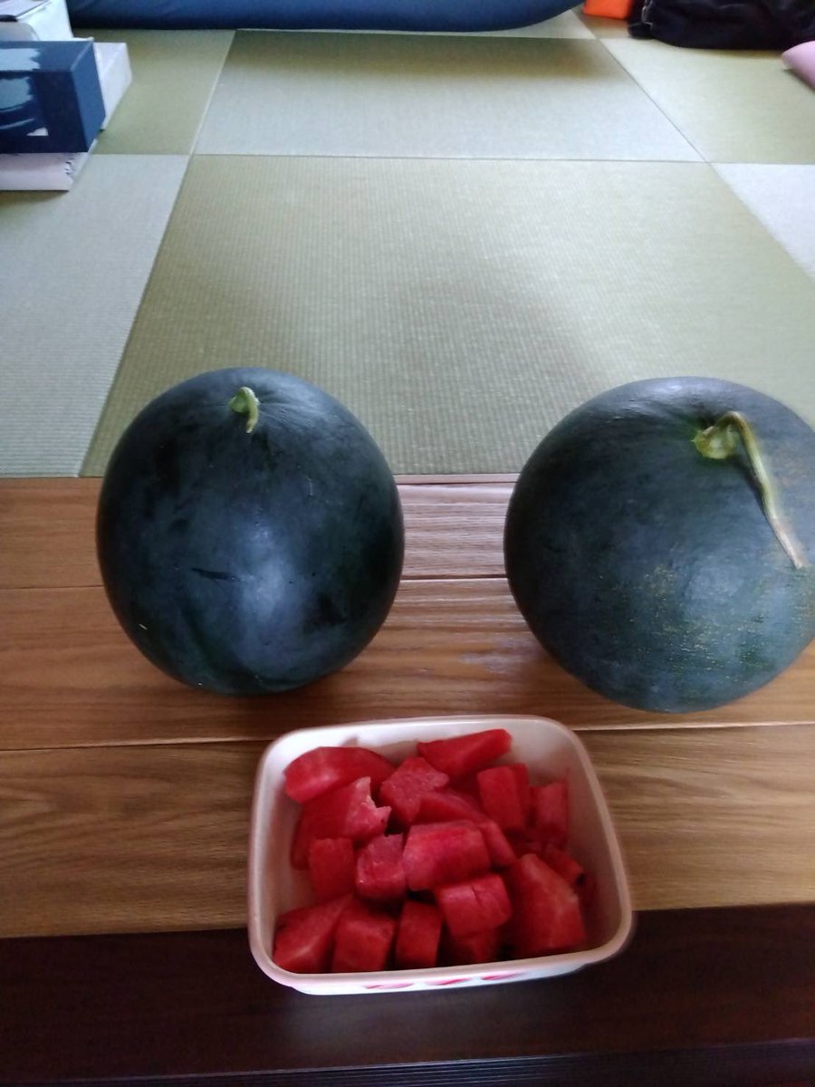 今日は晩年のライブです！

実家はスイカが取れたらしい
ポポーという謎の植物が旬らしい