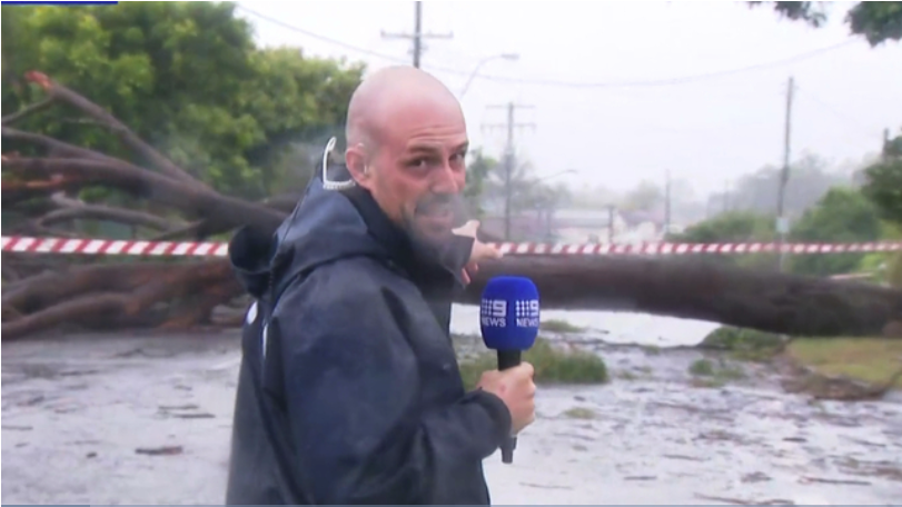 TreeProblemsNSW's tweet image. 'Check out the size of this tree, you need to buy a lotto ticket'.
9  News reporter Jacob Chicco speaks with a lucky homeowner whose house  was narrowly missed by a falling giant tree, live on Weekend Today - video.
9news.com.au/videos/weather…