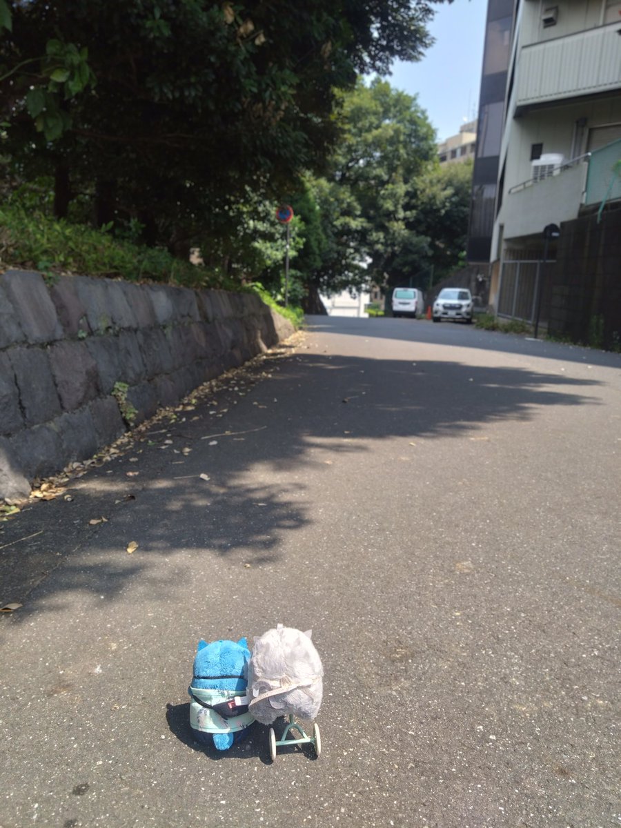 チャリできた Ninja ZX-25R ZX-4R SE ZX-4RR リアキャリア | エンデュランス