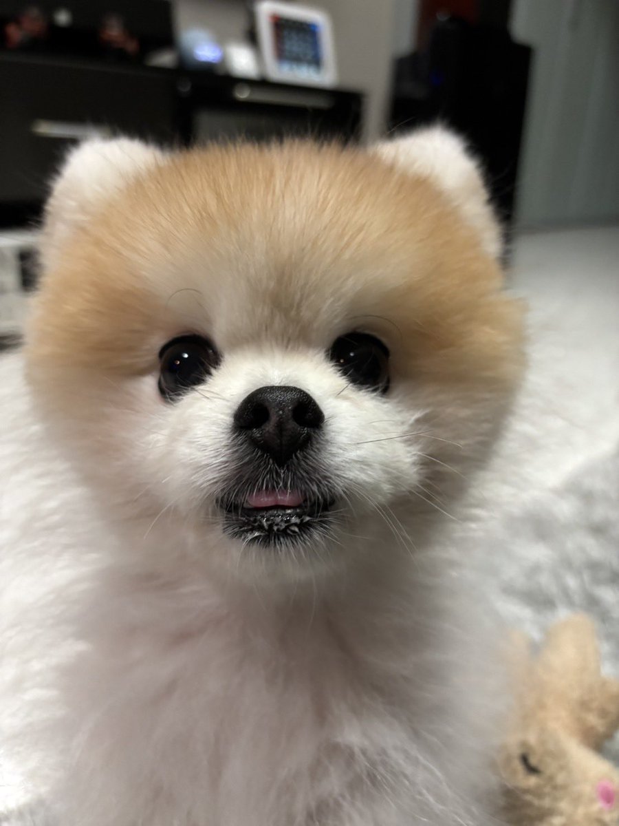 今年も夏をありがとう
甲子園が好きだーーーー！！！