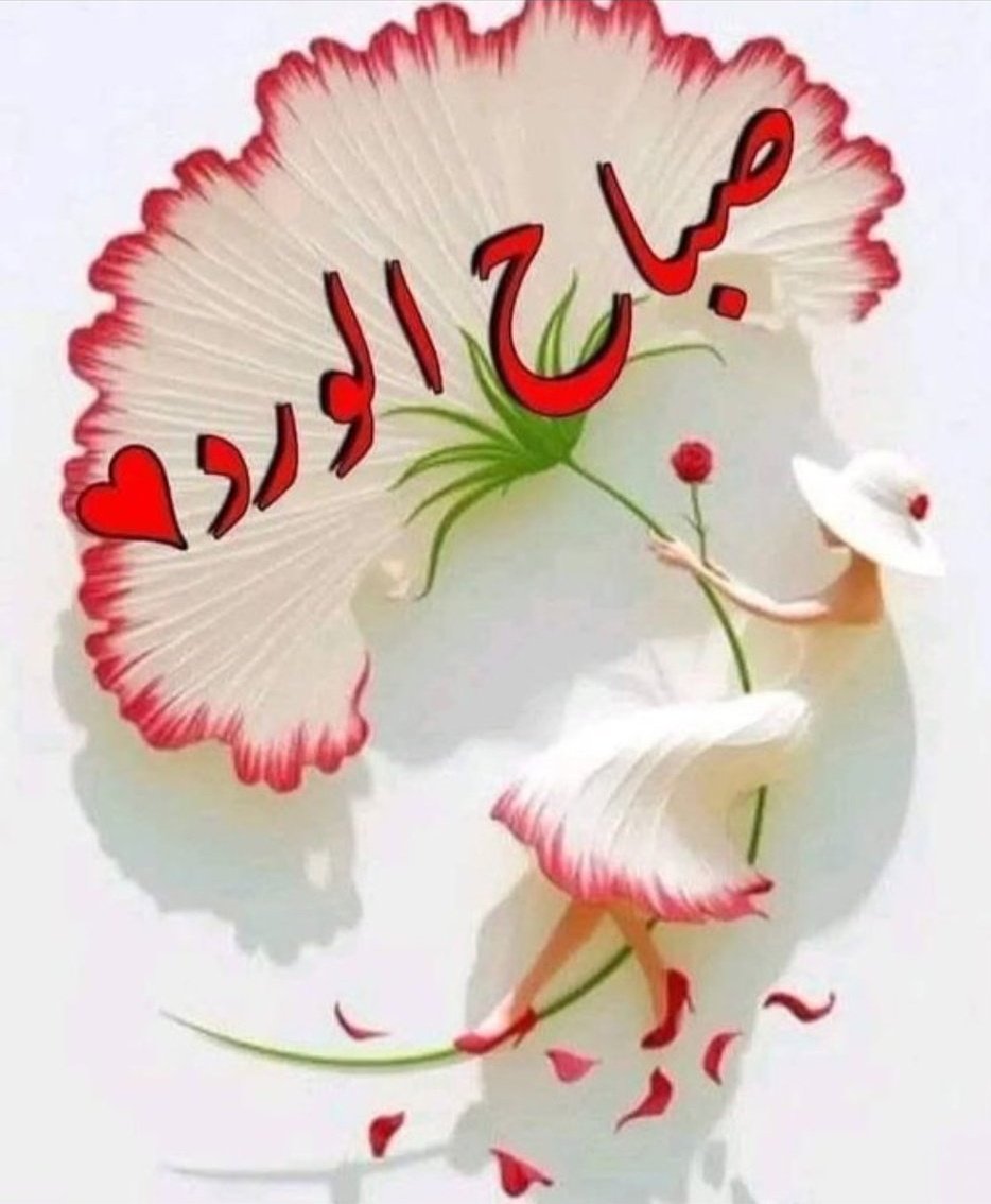 أصبحنا وأصبح الملك لله 
اللهم في هذا الصباح سخر لنا من حظوظ الدنيا ما تعلم أنه خير لنا، اللهم قلوبنا بين يديك فارزقها الثبات والراحة والطمأنينه

صبـاح الــورد 🌹❣️🌹