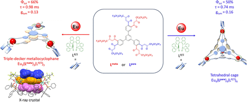 bhkenlo's tweet photo. Supramolecular Assembly of Chiral Lanthanide Triple-Decker Metallocyclophanes Ln3(Lmeta)3(LR/S)3 or Tetrahedral Cages Ln4(Lpara)4(LR/S)4 and Their Chiroptical Properties | Inorganic Chemistry https://t.co/9ZrmmyDsH2 Law and co-workers @InorgChem #lanthanide #chiral #tripledecker https://t.co/FKTn2sVl3P