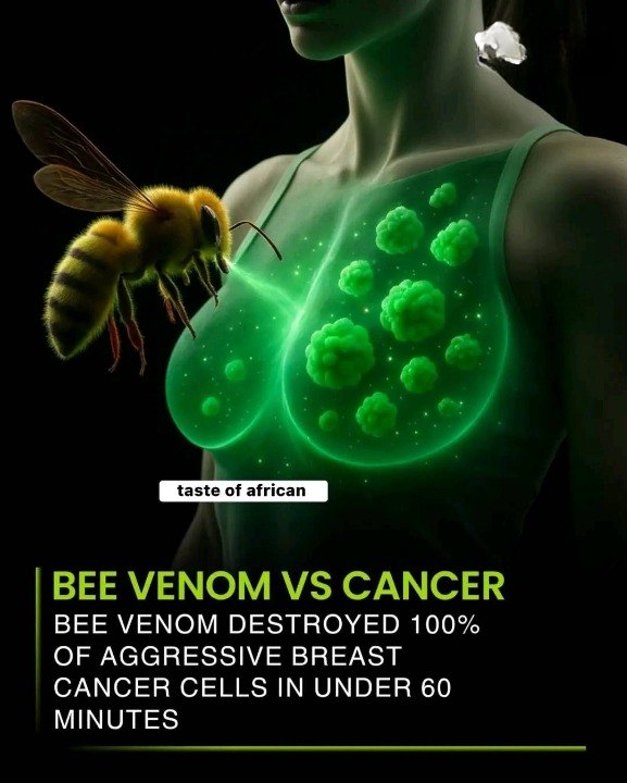 VitalHealthZone's tweet photo. Honeybee venom induces cancer cell death in hard to treat triple-negative breast cancer with minimal effect on healthy cells.

#breastcancer #CancerResearch #beevenom #bees #scienceadvances #sciencenews 

https://t.co/rr0NWjtKOK https://t.co/rnj1mDSCrb