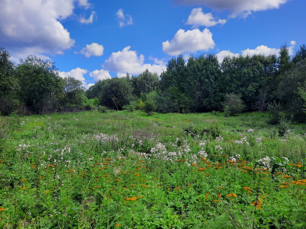 Alan Wakefield tweet media