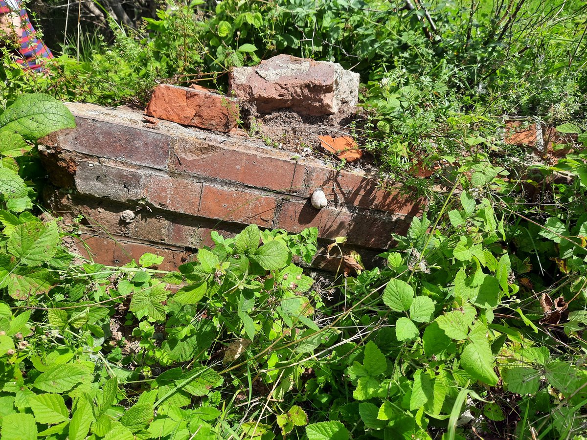 Alan Wakefield tweet media