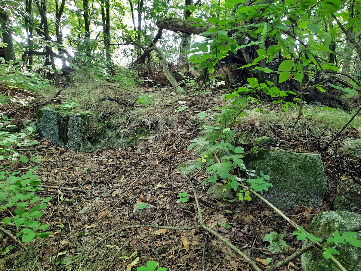 Alan Wakefield tweet media