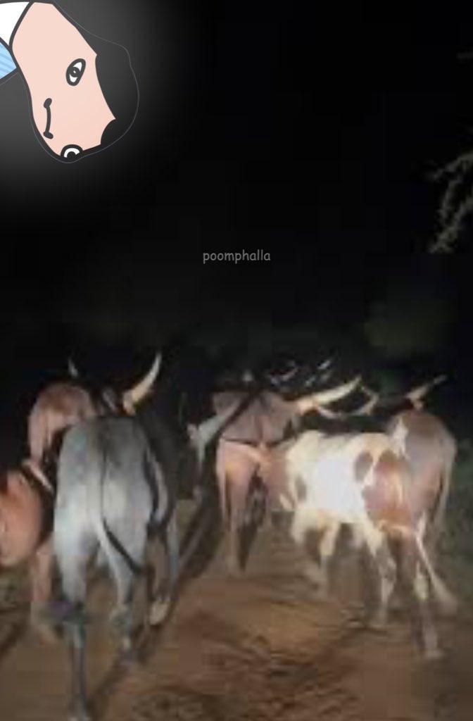cumming suun tu suneek beibeh