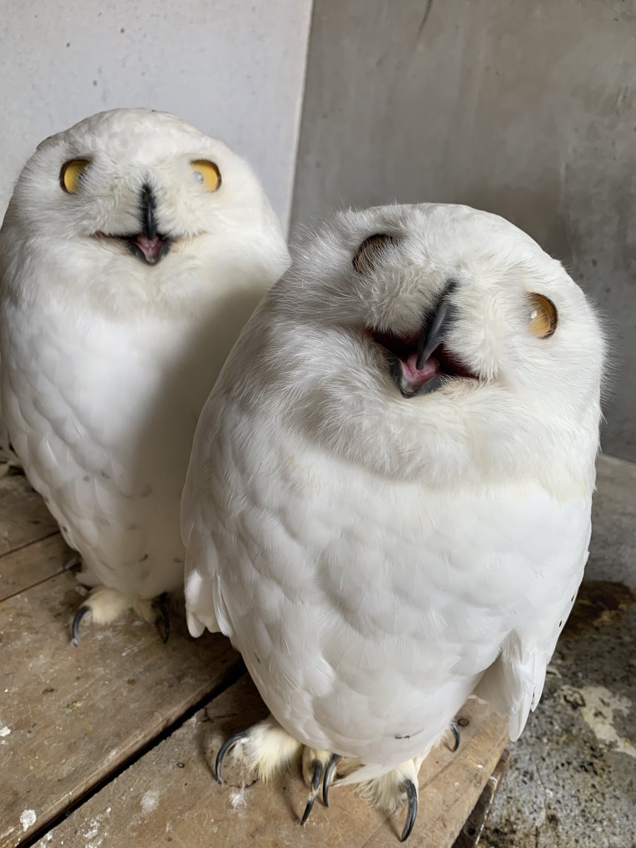 ミューさま確認ページ♡ ミューさま確認ページ♡ ミューさま確認ページ♡ MOさま確認