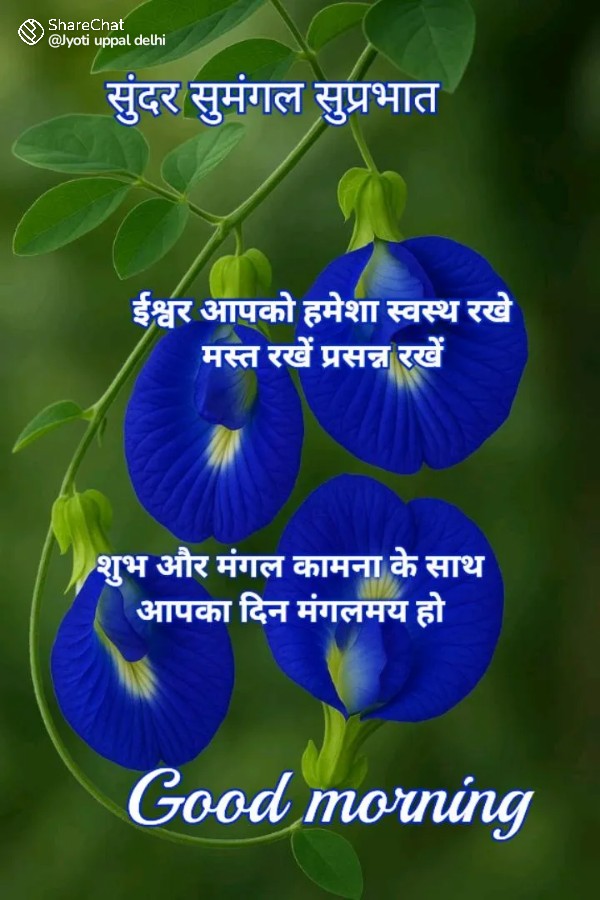 सुप्रभात मित्रों