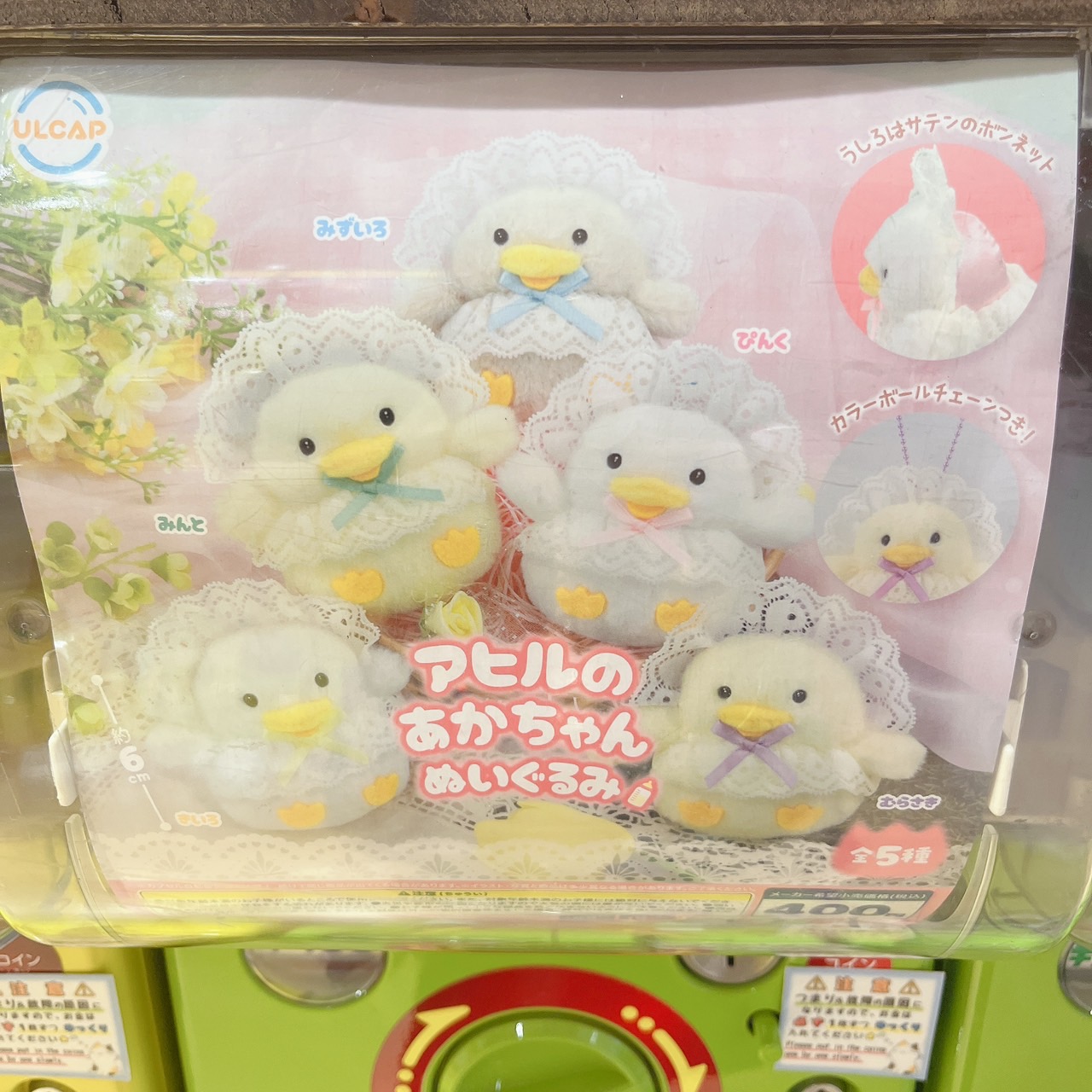 ガチャ王国広島店 on X: 