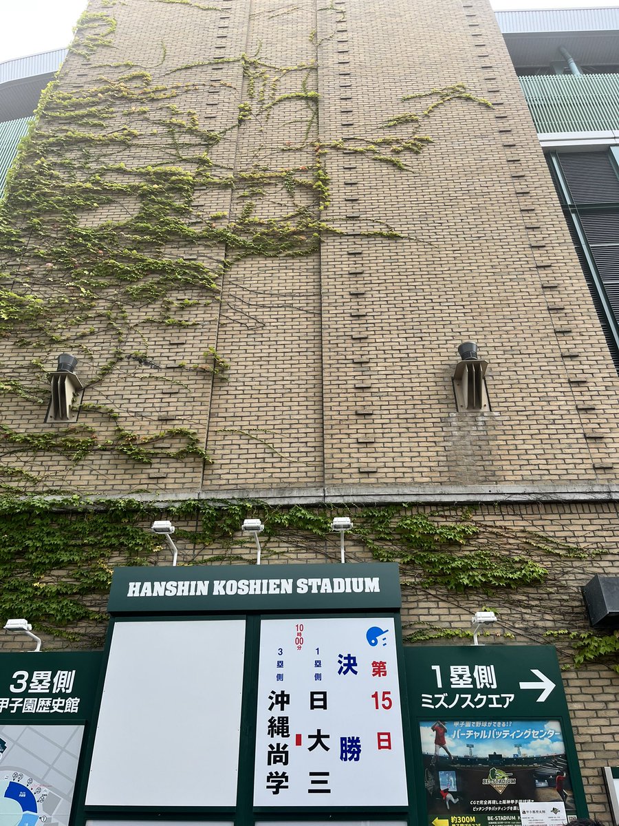 素晴らしいタイミングで関西に居るので決勝観に行きました！！！
(八八のお陰です🥹)
沖尚優勝おめでとう🎊㊗️