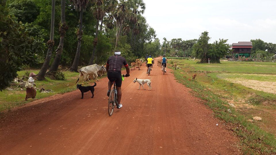 ChhetPoleak's tweet image. Cycling Siem Reap Countryside, Cycling With Poleak Explore Local Life &amp;amp; Enjoyed Cycling
Farmer Daily Life, Weaving Basket, Local Lunch
#poleak #locaguide #cyclingguide #angkorguide #siemreap