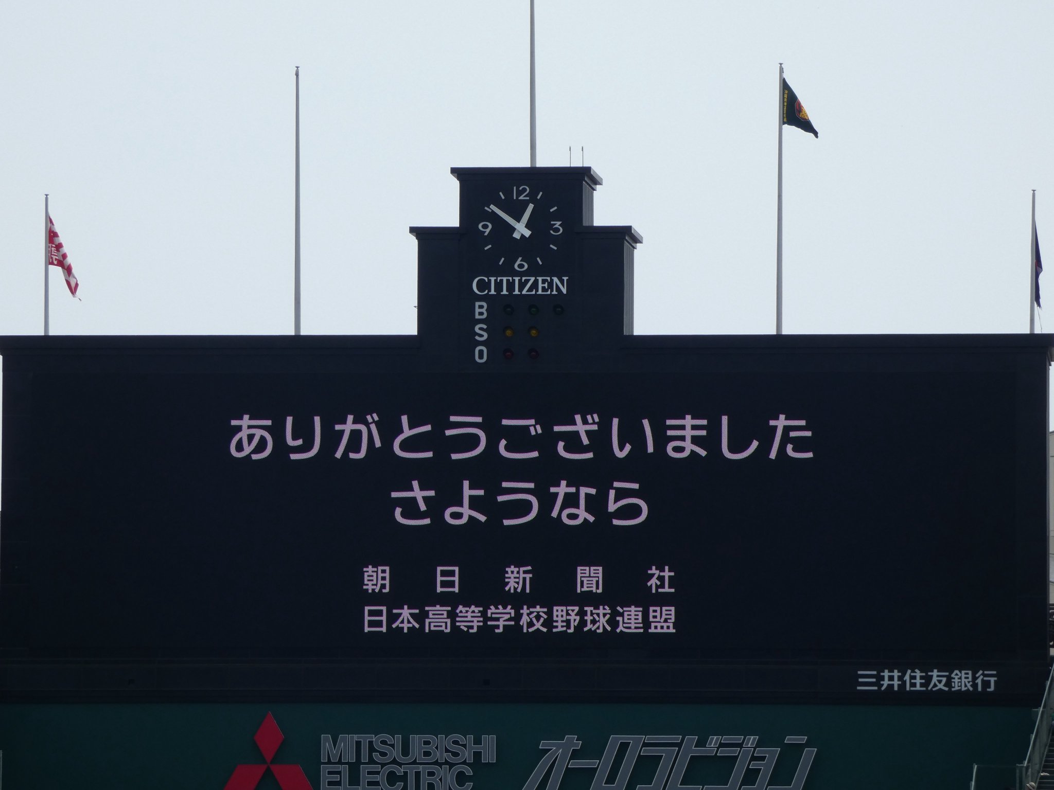 たまちゃん🐯 on X: 