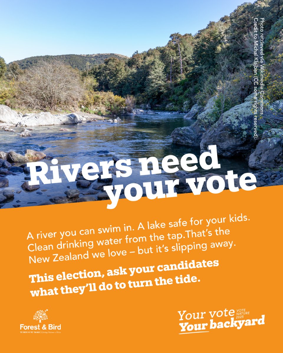 That river your kids swim in every summer?
The stream that runs through your neighbourhood?
The lake your whānau picnics beside?

They’re in trouble. Most of our rivers and lakes are polluted. Some swimming spots are too risky to enter. Our native freshwater species are