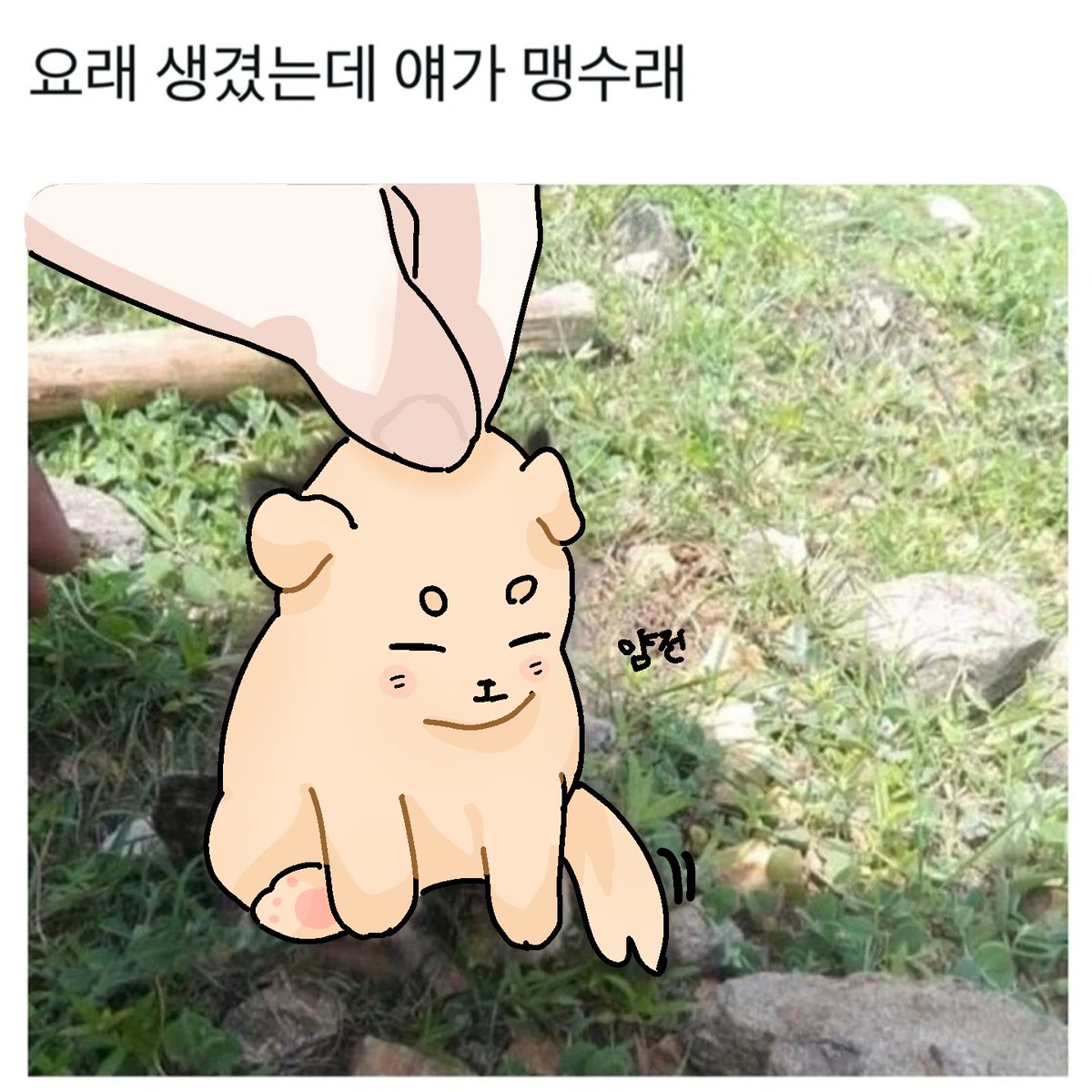 #픽셀리 #뜰팁
약간 저노조 같음